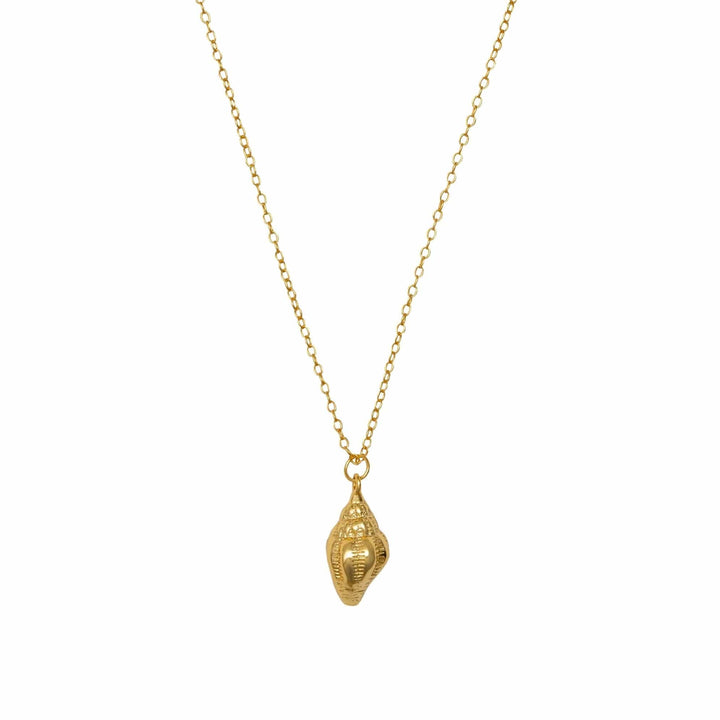 Conch Cove Gold Drop Necklace