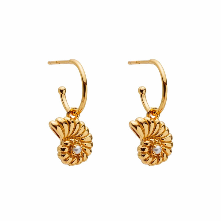 Nautilus Isle Drop Earrings