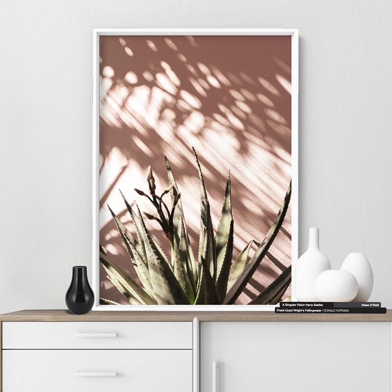 Aloe Succulent in Afternoon Light - Art Print