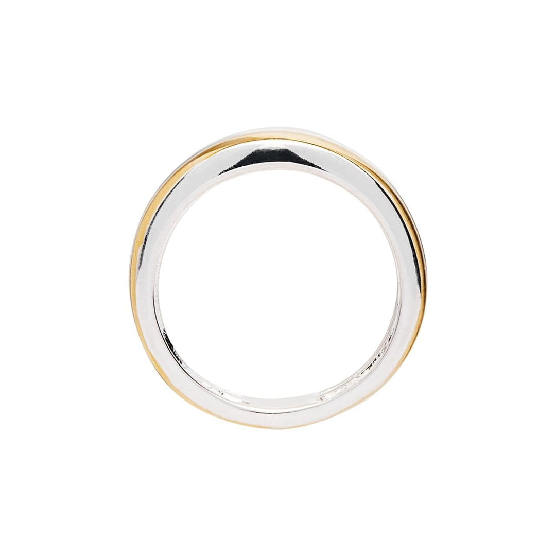 Continuum Ring - Silver and Gold