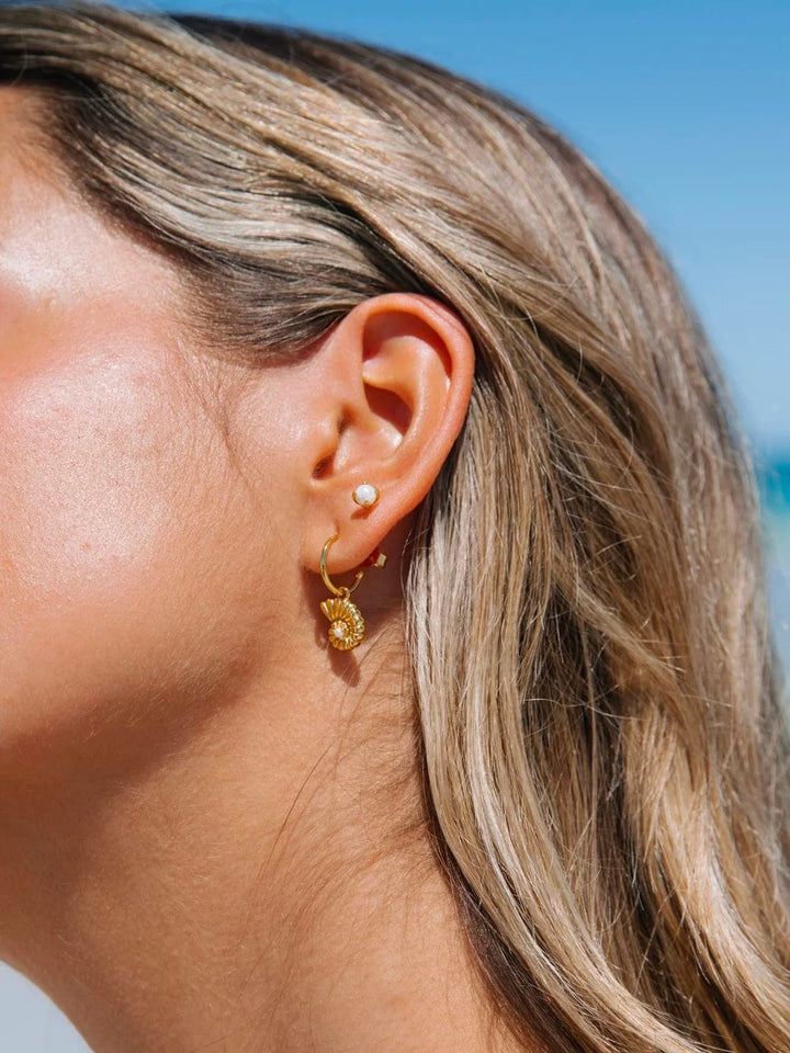 Nautilus Isle Drop Earrings