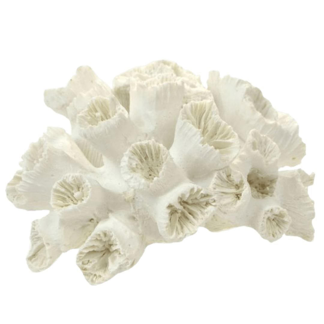 White Isle Coral Decor - Decorative Coral