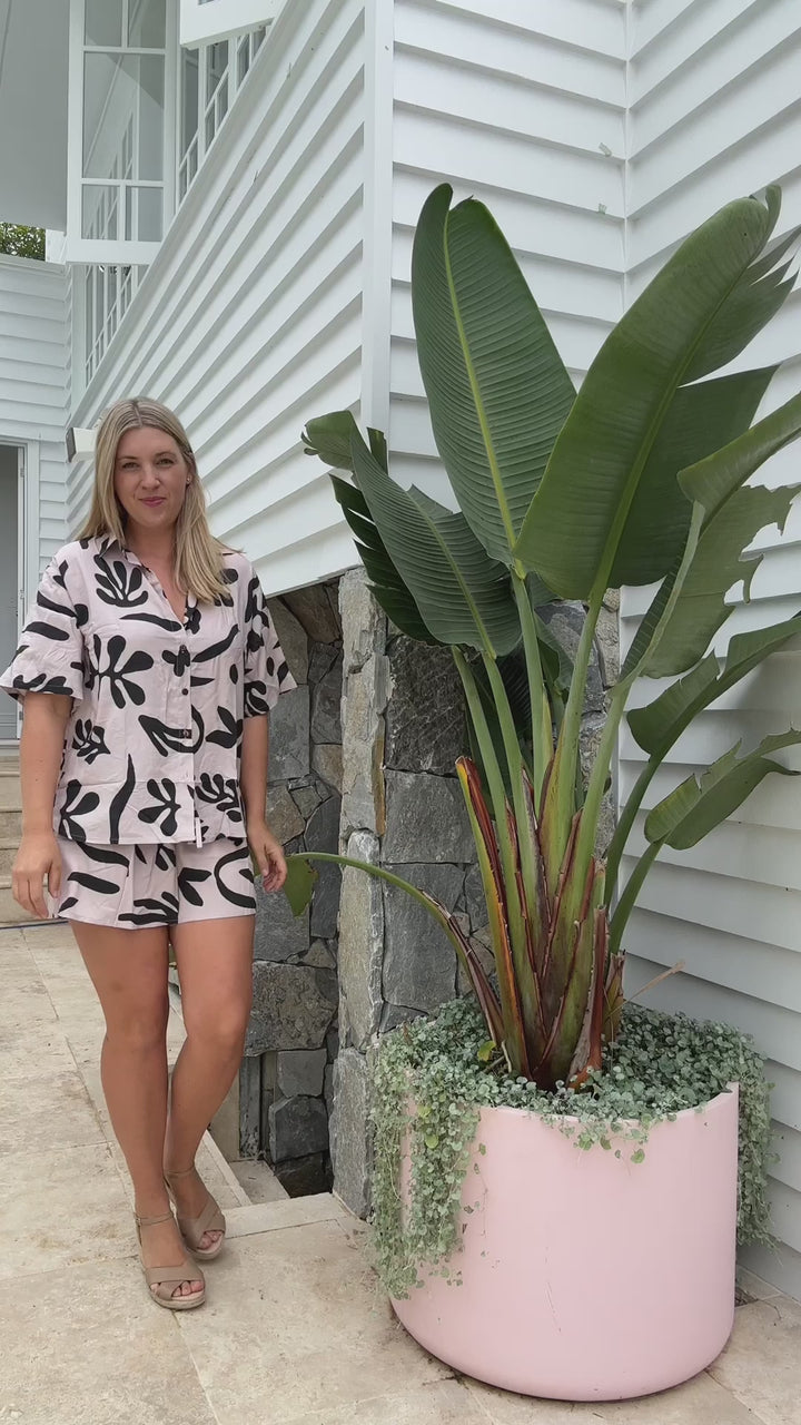 Yacht Shirt - Coral Reef Black