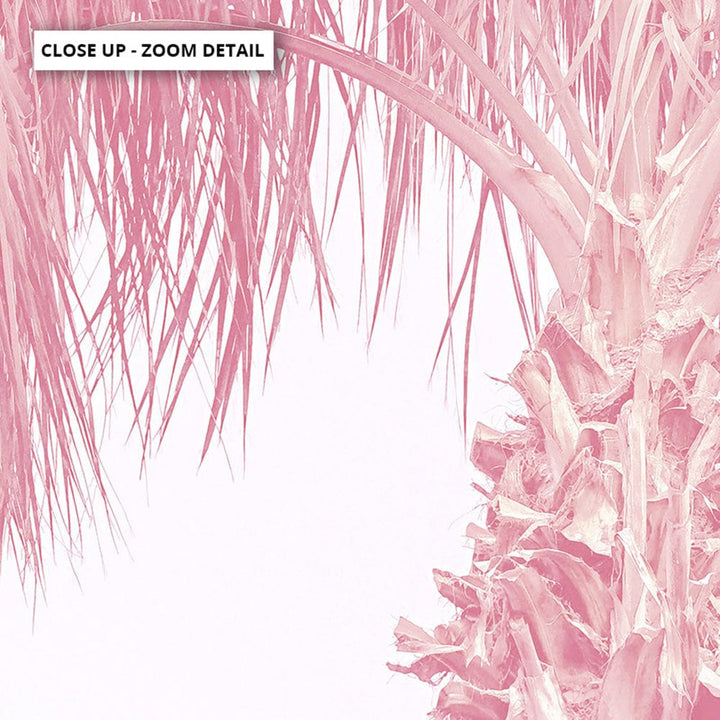 Pink Coastal Palm Tree - Art Print